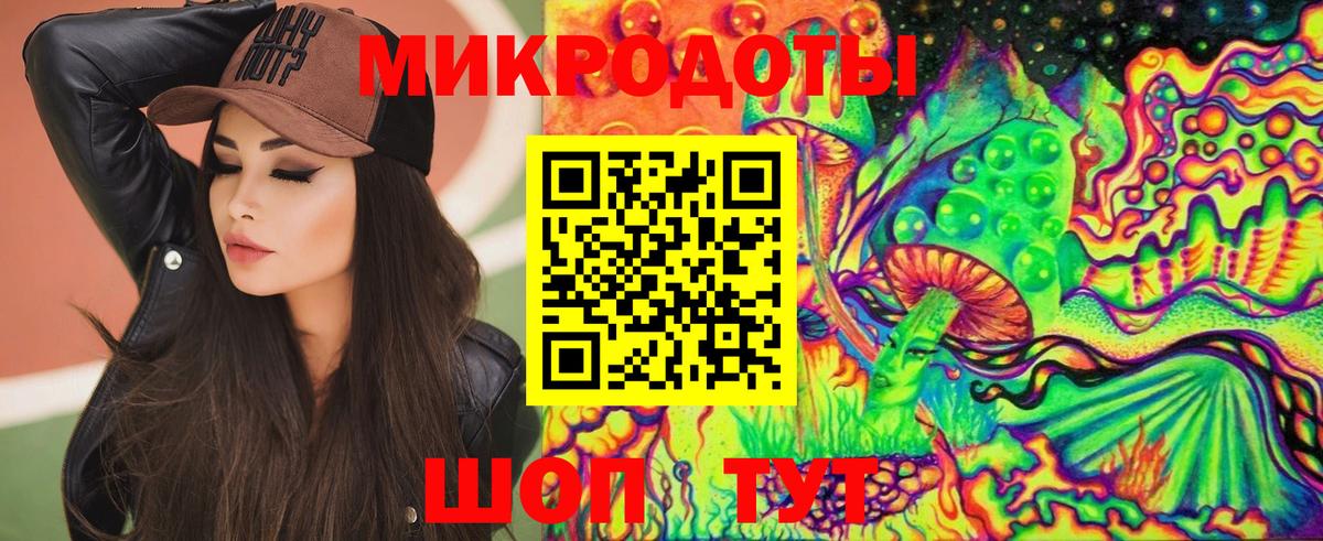 ГАШ Великие Луки