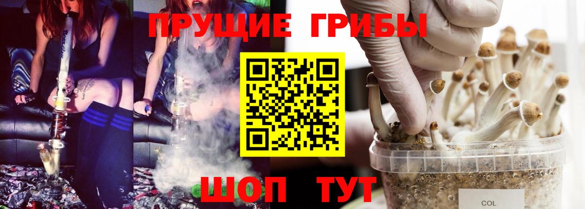 Великие Луки  где можно купить наркотик  Вход с VPN  Галлюциногенные грибы мухоморы 